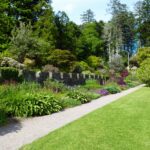 ハローワールドのアイキャッチ画像